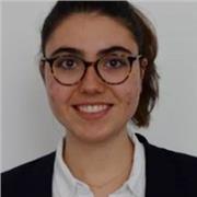 Professeur de mathématiques jusque niveau terminale S
